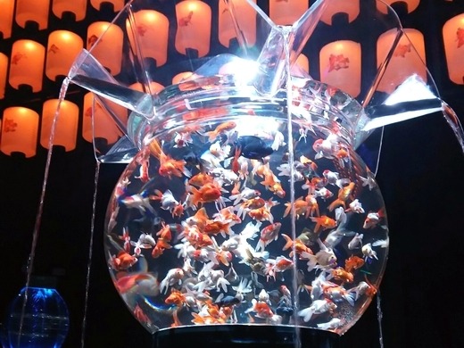 �A�[�g�A�N�A���E���W�@���